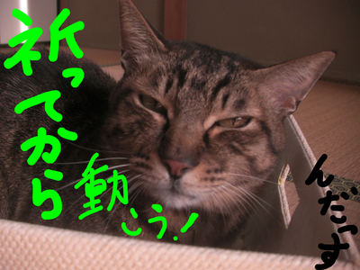20180127 んだっす.jpg