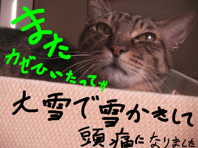 20180127 頭痛.jpg