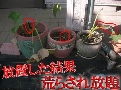 20180929 03.jpg