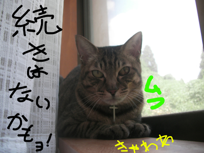 20181013 05.jpg