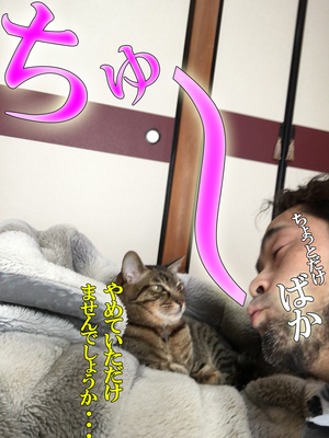 ちゅ〜しょっと!.jpg