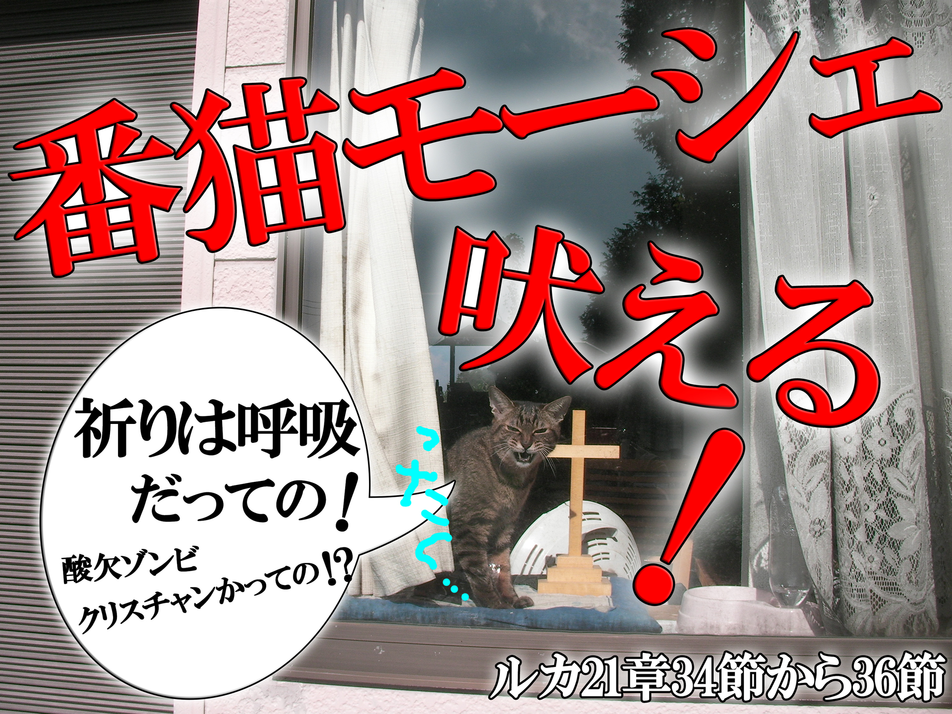 聖書猫 モーシェ君が行く 雲の柱 火の柱 アウトロー神学者の終末世相診断