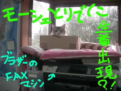 20250125 01.jpg