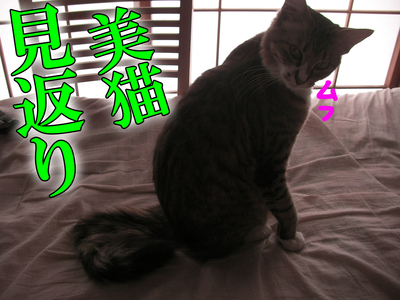 20250201 03.jpg